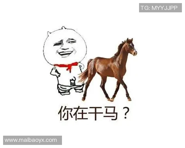 足球明星与马的深厚情缘揭秘你不知道的故事与趣闻